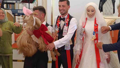 Düğünde Altın Yerine Keçi Takıldı: Davetliler Kahkahaya Boğuldu