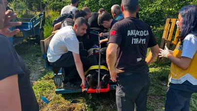 Devrilen Traktörün Sürücüsü Yaralandı