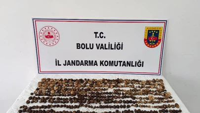 Yabani Salep Toplayanlara Rekor Ceza