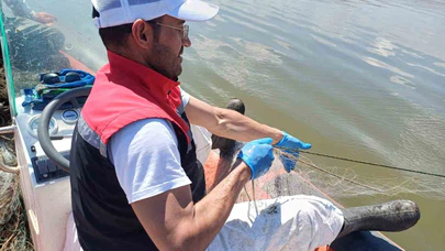 Çorum'da Kaçak Avcılığa Geçit Yok: 3 Bin 100 Metre Yasa Dışı Ağa El Konuldu