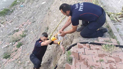 6 Metrelik Duvardan Çaya Düştü!