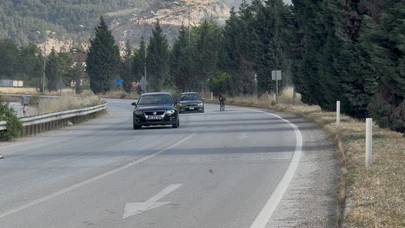 Başıboş Eşek Sürücülere Zor Anlar Yaşattı