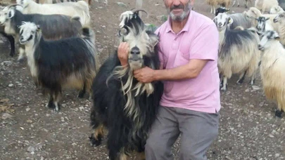 17 Günlük Acı Bekleyiş Sona Erdi