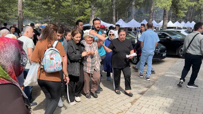Ağaçtan Kopan Dal Yaşlı Kadını Yaraladı
