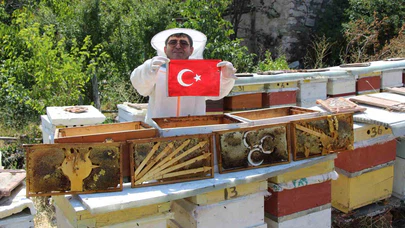 Amasya’da arıların seçimi sonuçlandı
