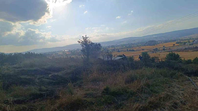 Anız Yangını Korkuttu: Ağaçlık Alana Sıçramadan Söndürüldü