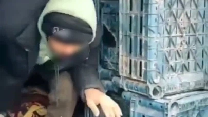 Düzensiz Göç Operasyonu: 7 Kişi Yakalandı