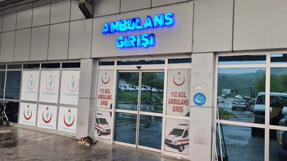 Ağaçtan Düştü, Arkadaşı da Yaralandı