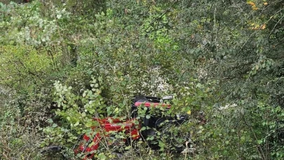 Traktör devrildi: 1 ölü