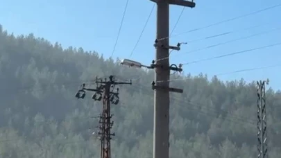 Trafik cezasına öfkelenen sürücü elektrik direğine çıktı