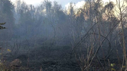 Ziraat alanında çıkan yangın ormana sıçradı