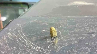 Artvin’de maganda kurşunu park halindeki araca ve iş yerine isabet etti