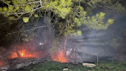 Ormanlık alanda yangın