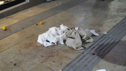 Boşanma aşamasındaki eşi tarafından bıçaklanan kadın yaralandı