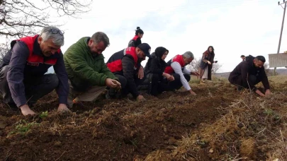 Kadınlara güç veren proje: 38 bin fide dağıtımı yapıldı