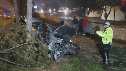 Kontrolden çıkan otomobil, direk ve ağaçlara çarptı: 1 yaralı