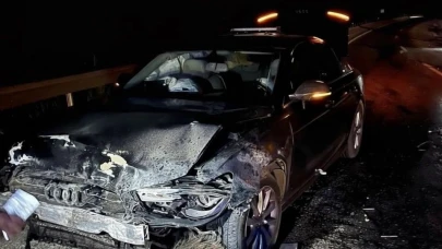 Makam aracı domuz sürüsüne çarptı