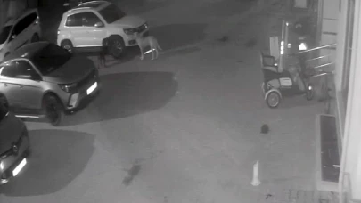 Sokak köpekleri park halindeki aracı parçaladı