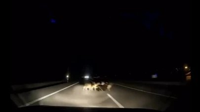 Otomobil sürüye çarptı: 12 koyun telef oldu