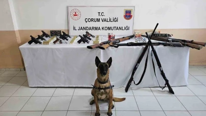Çorum jandarmasından ’düğün magandaları’na operasyon : 11 gözaltı