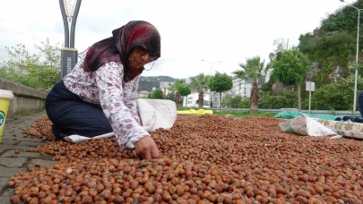 Fındık fiyatı 250 TL’ye geriledi, üretici umudunu yeni yıla bıraktı