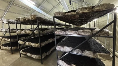 İlçenin ekonomisine yeni soluk