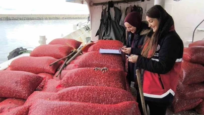 Beyaz kum midyesi denetimi