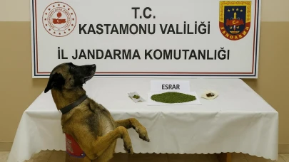 Uyuşturucu operasyonu: 1 tutuklama