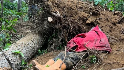 Kestiği ağacın altında kalan bir kişi hayatını kaybetti