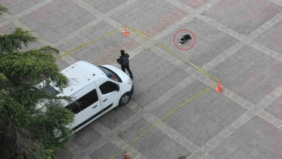 Köpekten örnek davranış: Polis şeridini ihlal etmedi