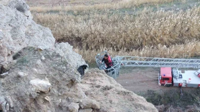 Uçurumda mahsur kalan keçileri itfaiye kurtardı