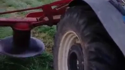 Çiftçinin dikkati 8 köpek yavrusunu ölümden kurtardı