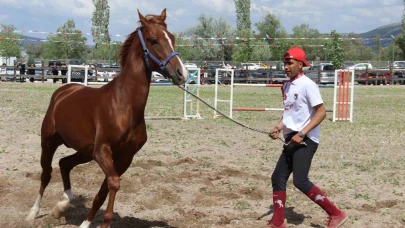 Çorum’da atlar güzellikleriyle yarıştı