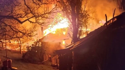 Köyde çıkan yangında 3 ev kullanılamaz hale geldi