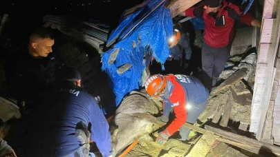 Çöken ahırda mahsur kalan 33 büyükbaş hayvan kurtarıldı
