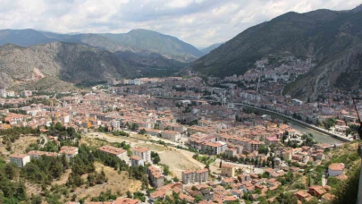 Kahverengi kokarca yayılıyor: Amasya’da da tespit edildi