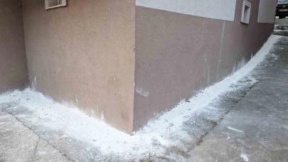Mahalleyi böcekler bastı, vatandaşlar tedirgin oldu