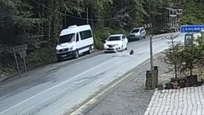 Otomobil düşen kayadan saniyelerle kurtuldu