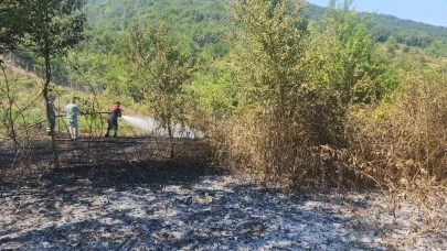 Anız yangını ormana sıçramadan söndürüldü