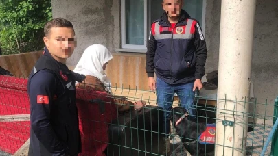 Kayıp ihbarı olan kadın sağ olarak bulundu