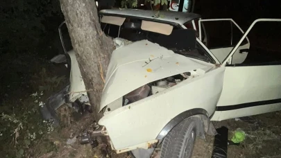 Virajı alamayan otomobil ağaca çarptı: 2 yaralı
