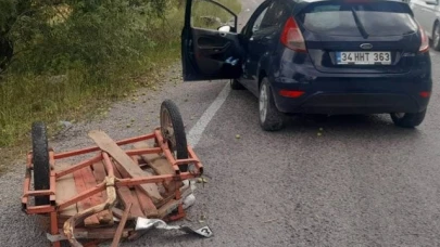 Trafik kazası: 1 kişi hayatını kaybetti