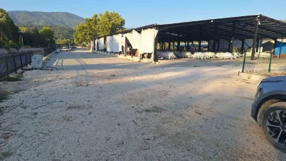 Bıçaklı alacak-verecek kavgası: 1 yaralı