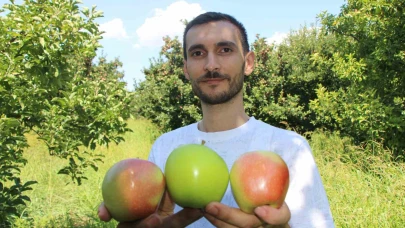 Elmalarını zirai dondan koruyan çiftçi hasada başladı: 80 ton rekolte bekliyor