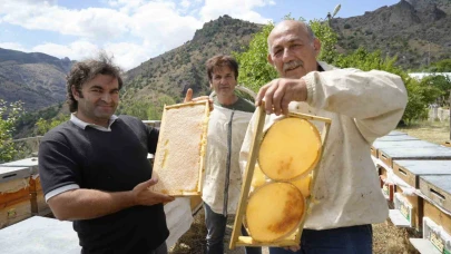 2025 yılı bal hasadı üreticilerin yüzünü güldürdü