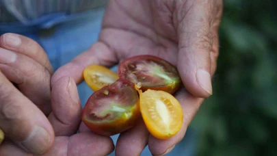 ‘Olmaz’ denileni yaptı: Evini tropikal bahçeye çevirdi