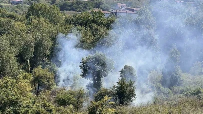 Bahçe temizliği yangına yol açtı