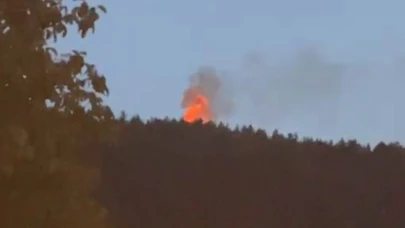 Türbede çıkan yangın ormana sıçradı