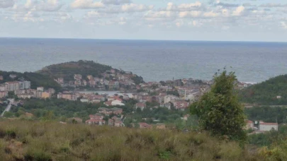 Denizin rengi değişti