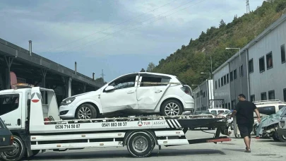 Araca giren arı, kazaya yol açtı: 2 yaralı